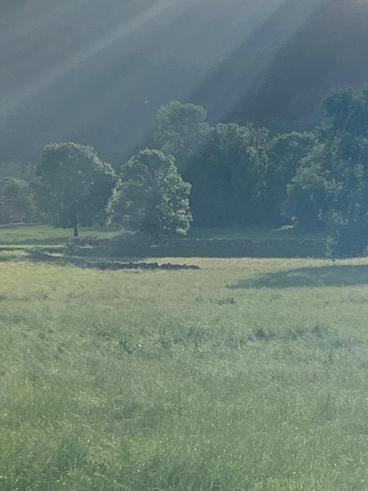 Remanso Del Rio Saja Villa Renedo De Cabuerniga Exteriör bild