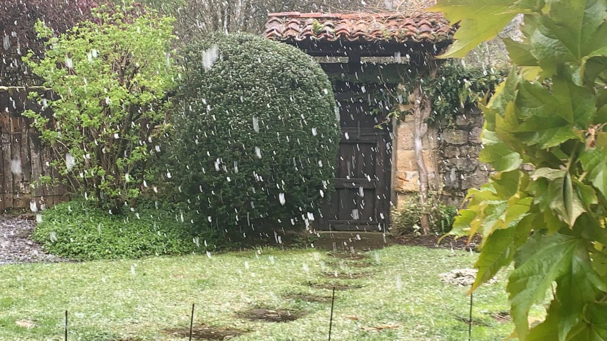 Remanso Del Rio Saja Villa Renedo De Cabuerniga Exteriör bild
