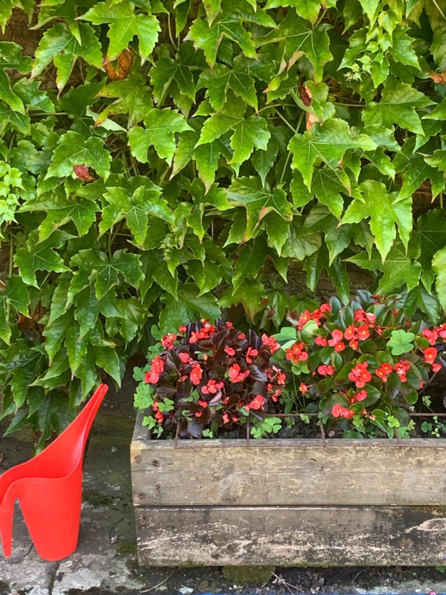 Remanso Del Rio Saja Villa Renedo De Cabuerniga Exteriör bild